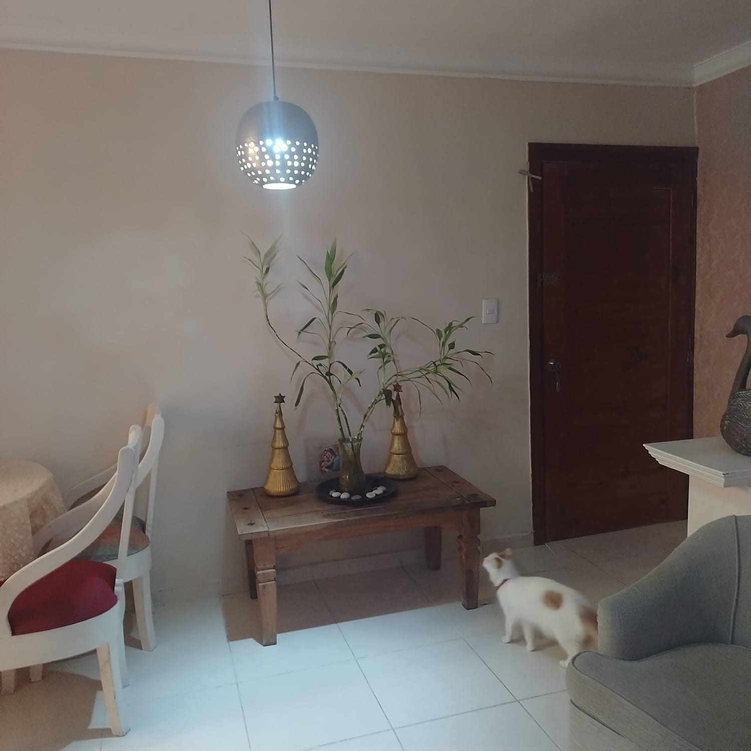 apartamentos - VENDO HERMOSO APARTAMENTO EN EL MALECON  2