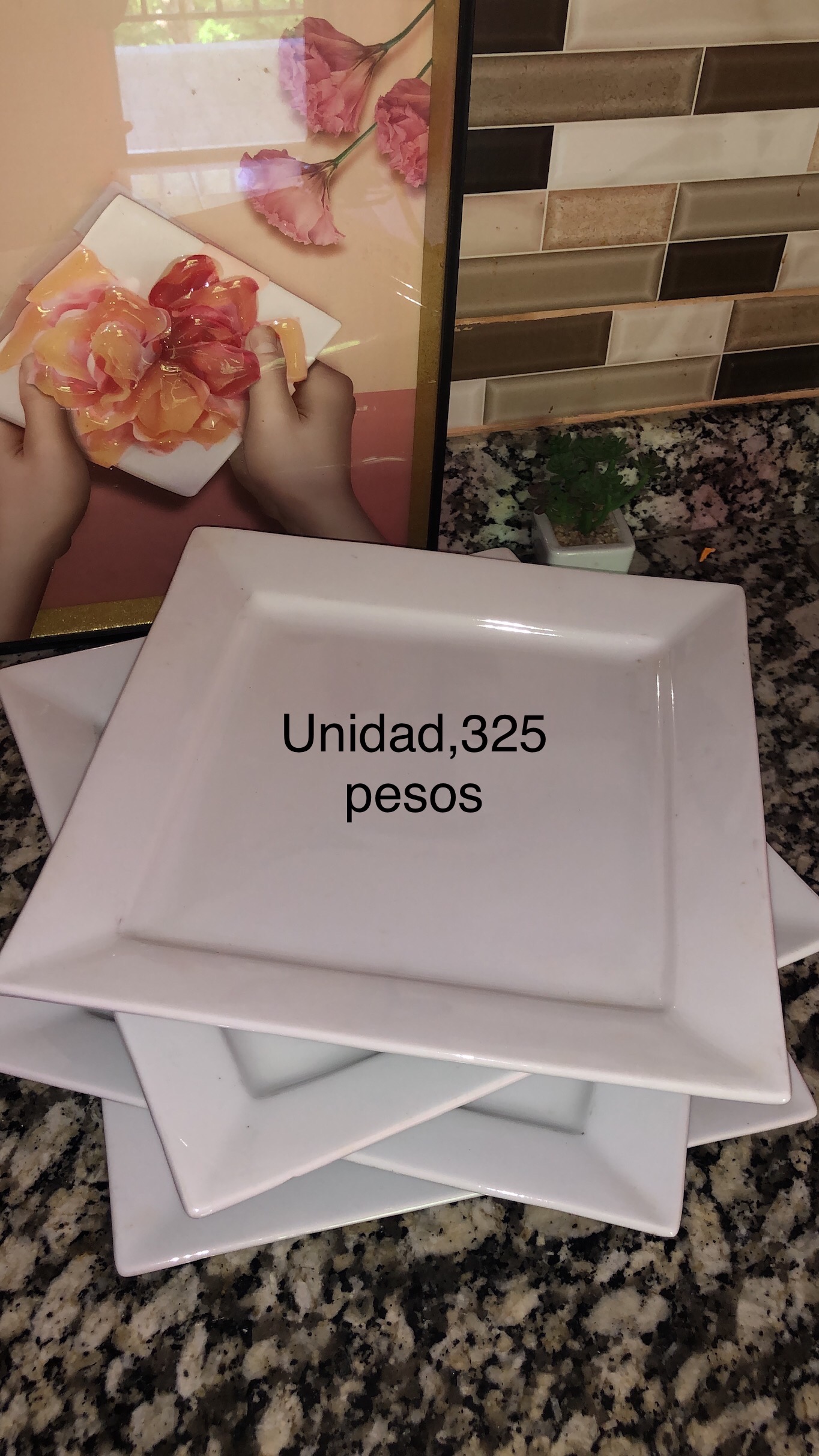 cocina - platos Cristalería 
