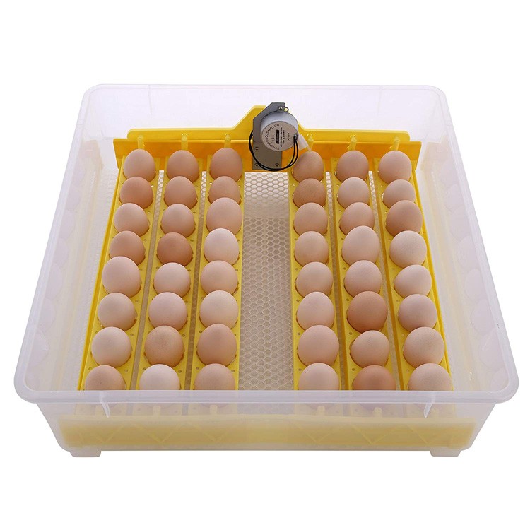 equipos profesionales - Incubadoras de 48 huevos digital automatico para Pollo Aves de corra 2