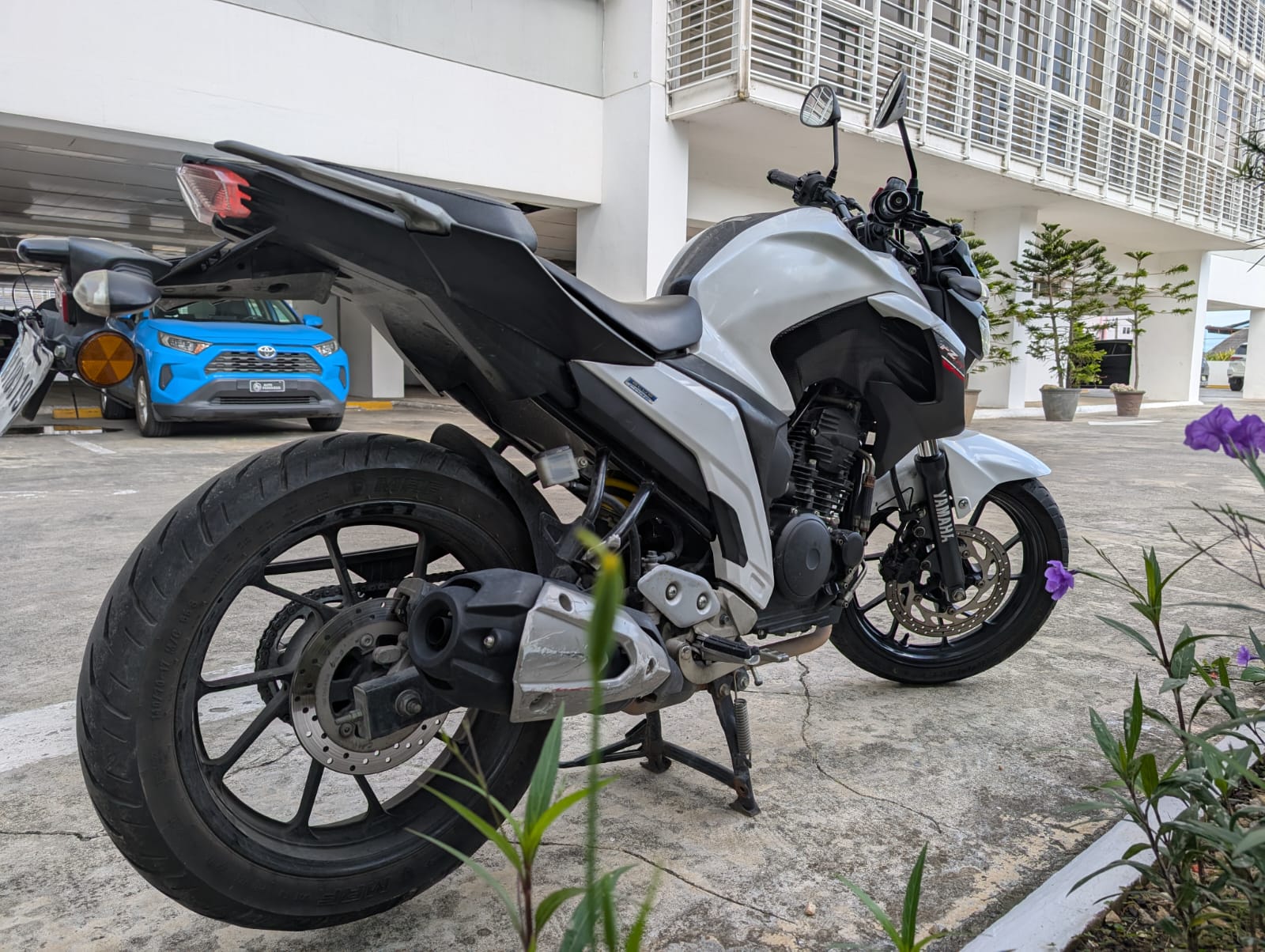 motores y pasolas - Yamaha FZ 250