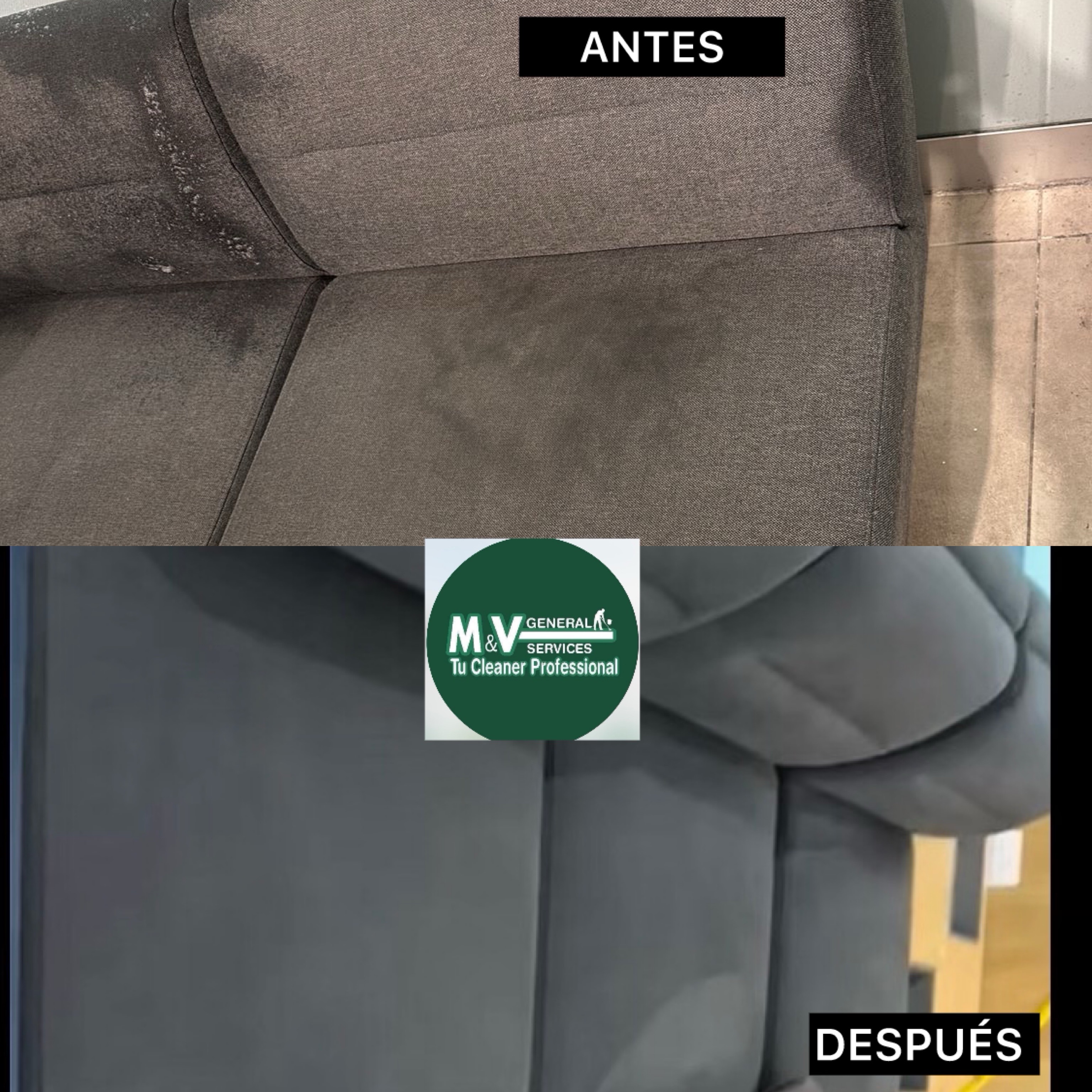 servicios profesionales - Limpieza profunda de colchones, muebles y alfombras 6