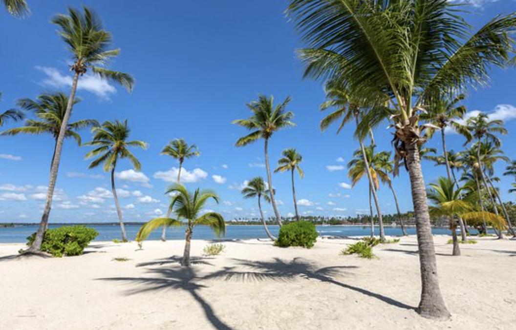 solares y terrenos - VENDO Solar en Playa Nueva Romana