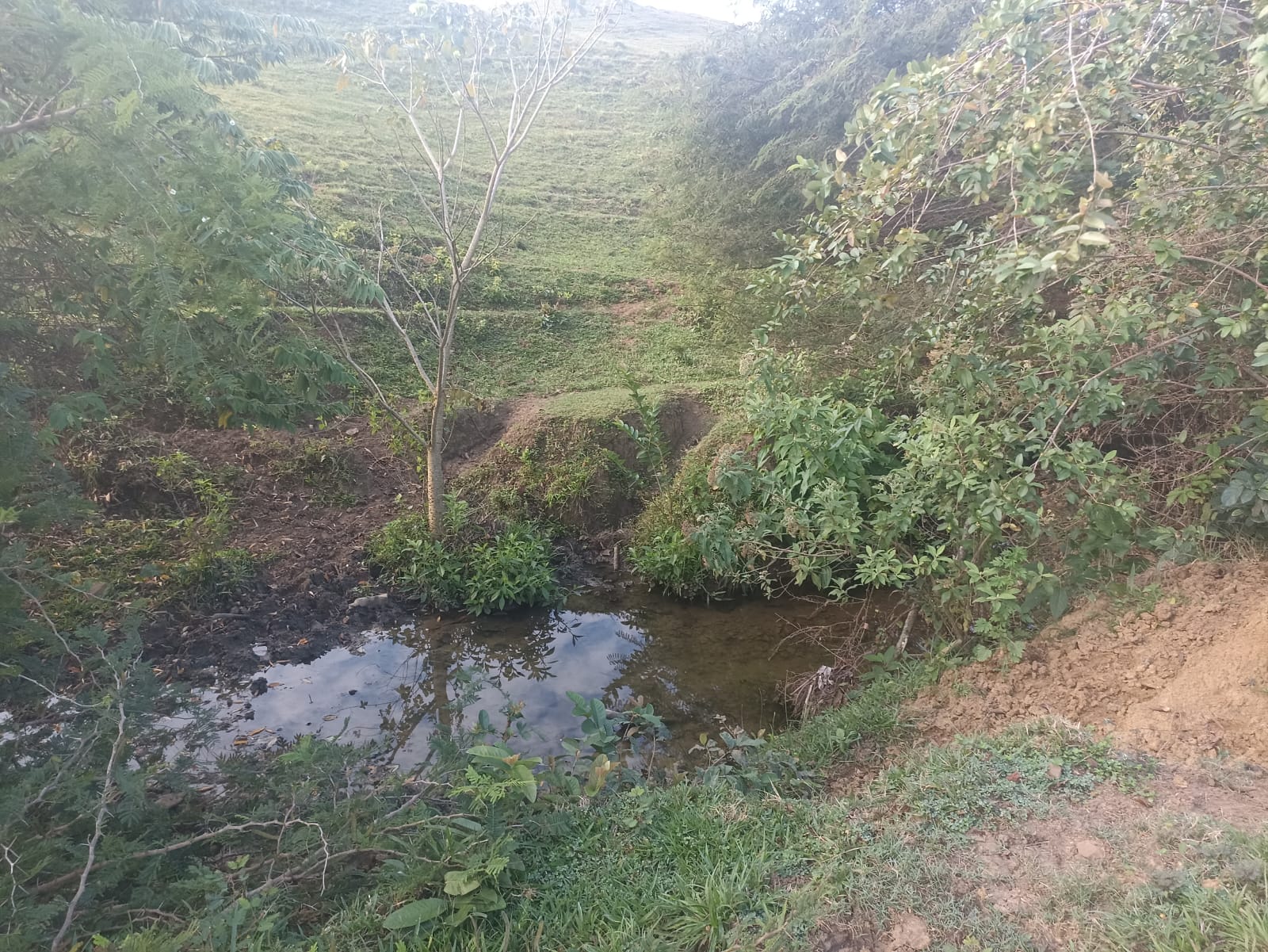 solares y terrenos - 🐄 Finca Ganadera en Venta – A Solo 45 Minutos de  0