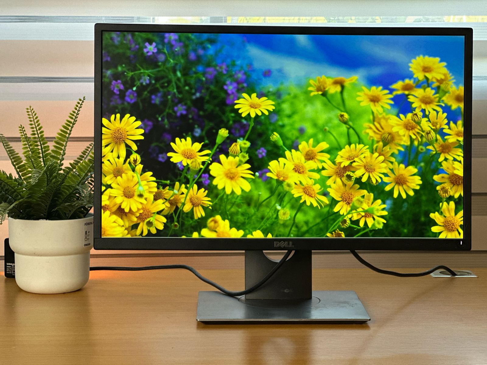 computadoras y laptops - MONITOR HP DELL Y ACER 22,23,24,27,32 Y 34PLG CON  2