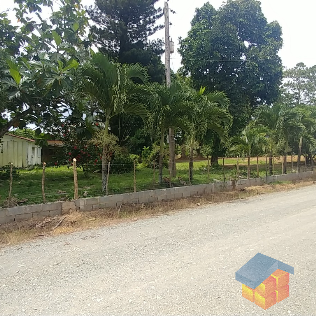 solares y terrenos - Solares Venta en Bonao 7