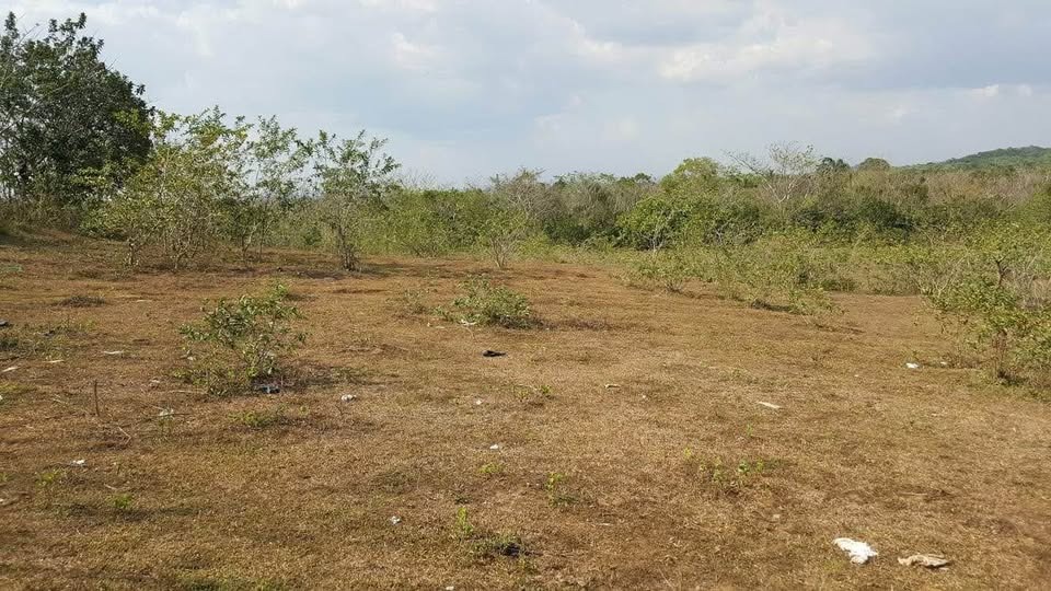otros inmuebles - Vendo Finca en Guanuma  1