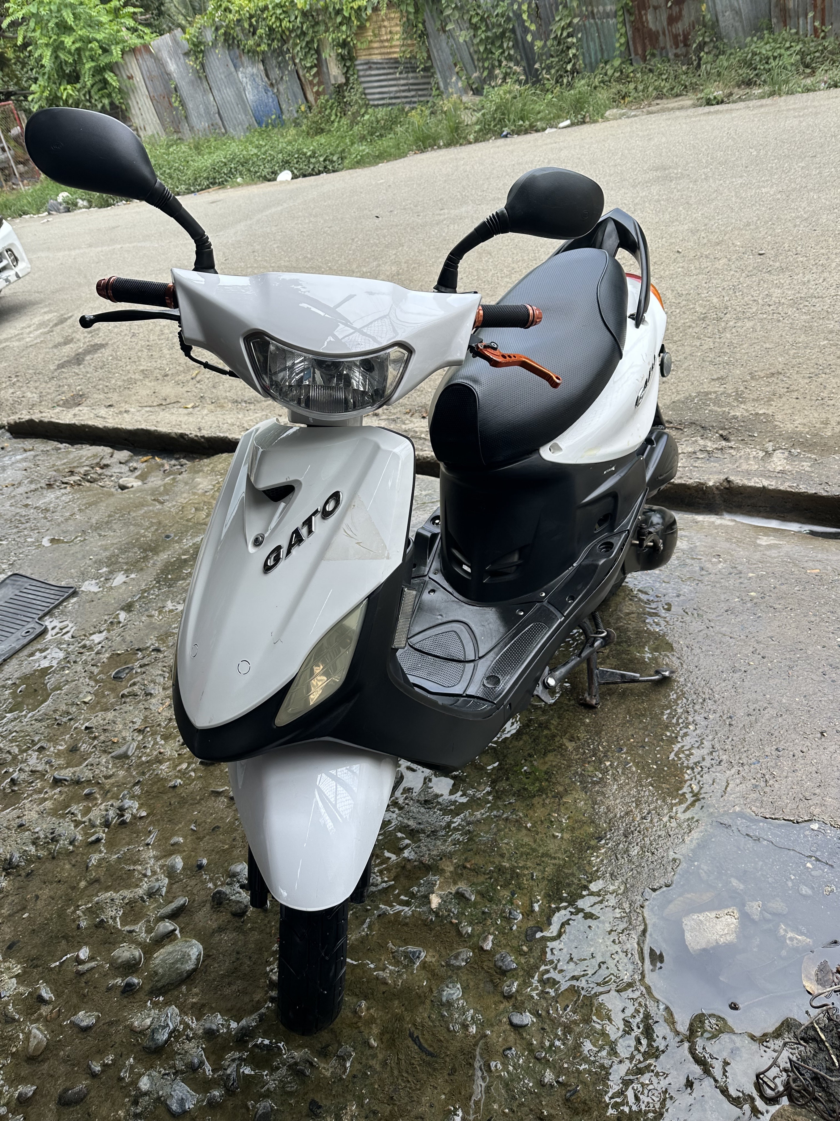 motores y pasolas - PASOLA GATO 2023 SPORT 