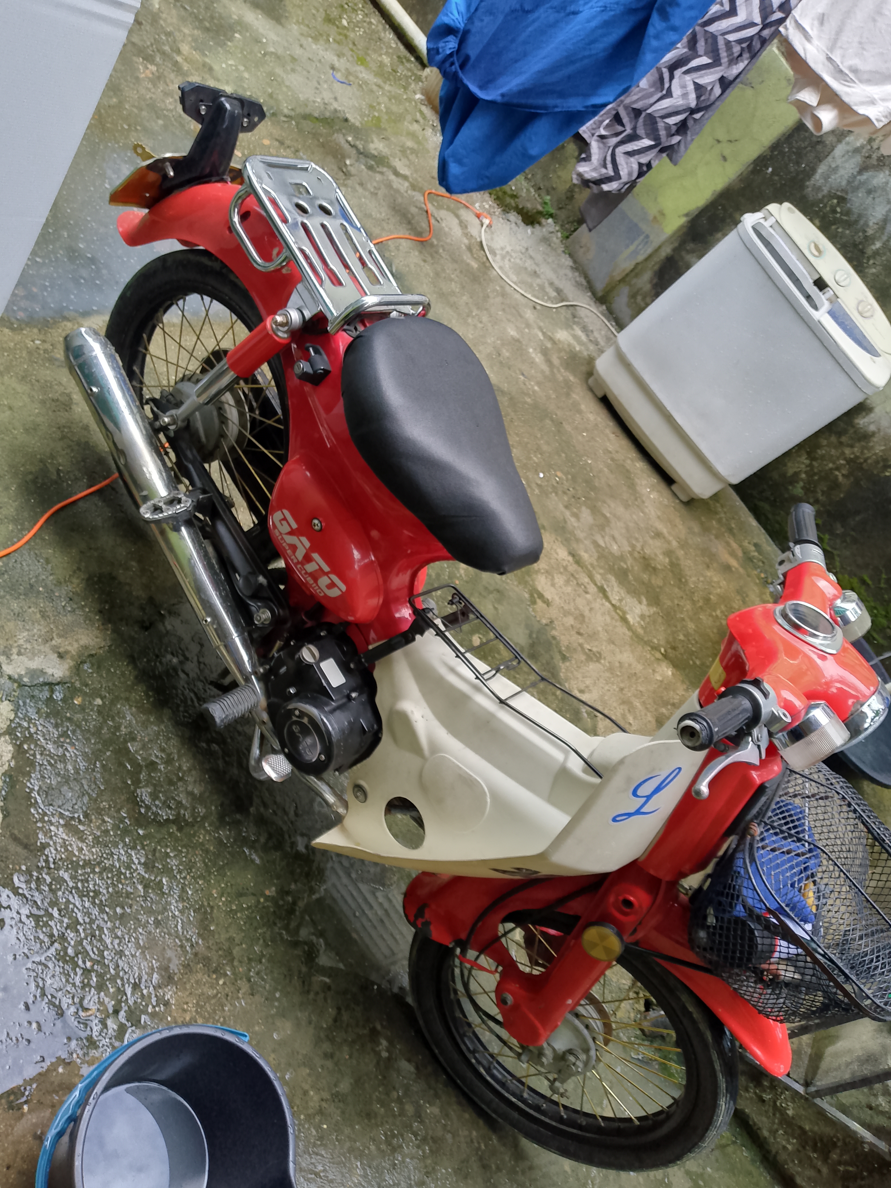 motores y pasolas - Super Cup gato  2