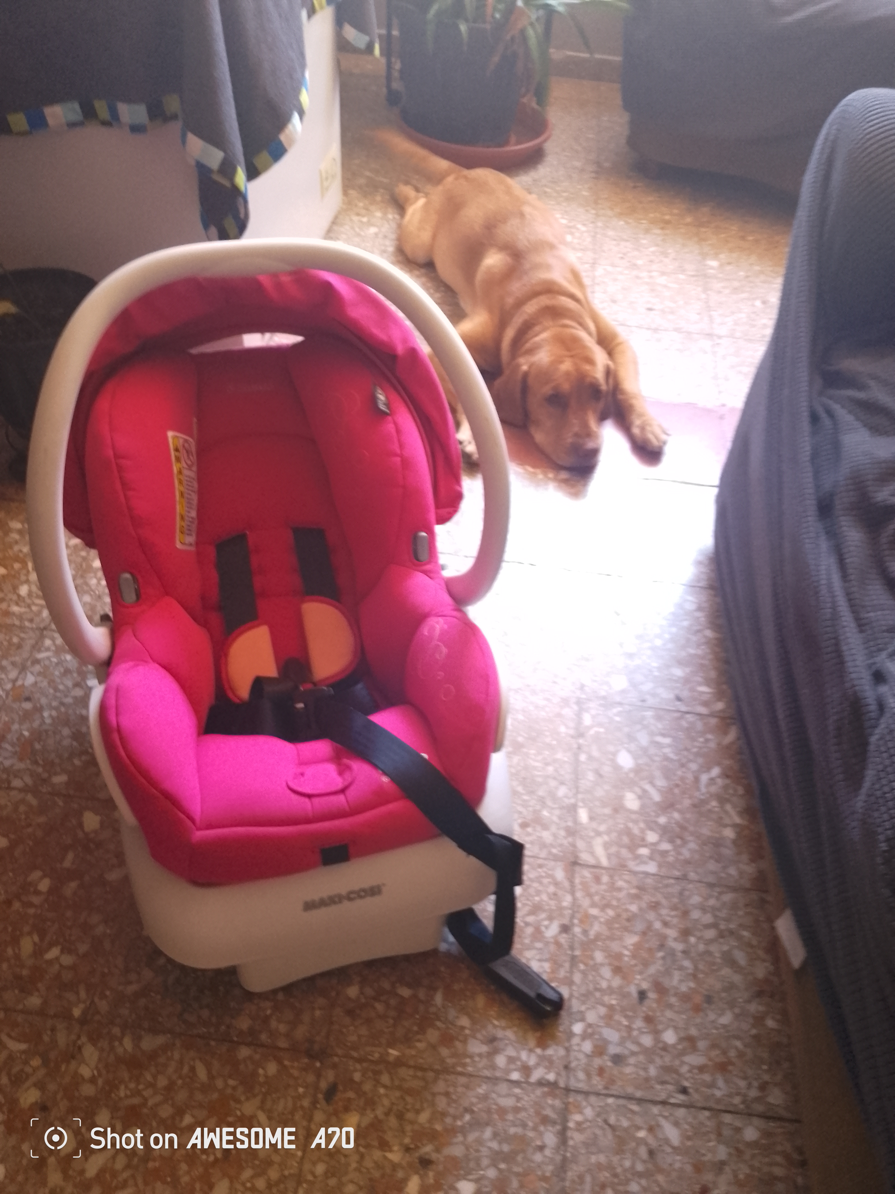 coches y sillas - Excelente y atractivo fucsia asiento de coche para 0