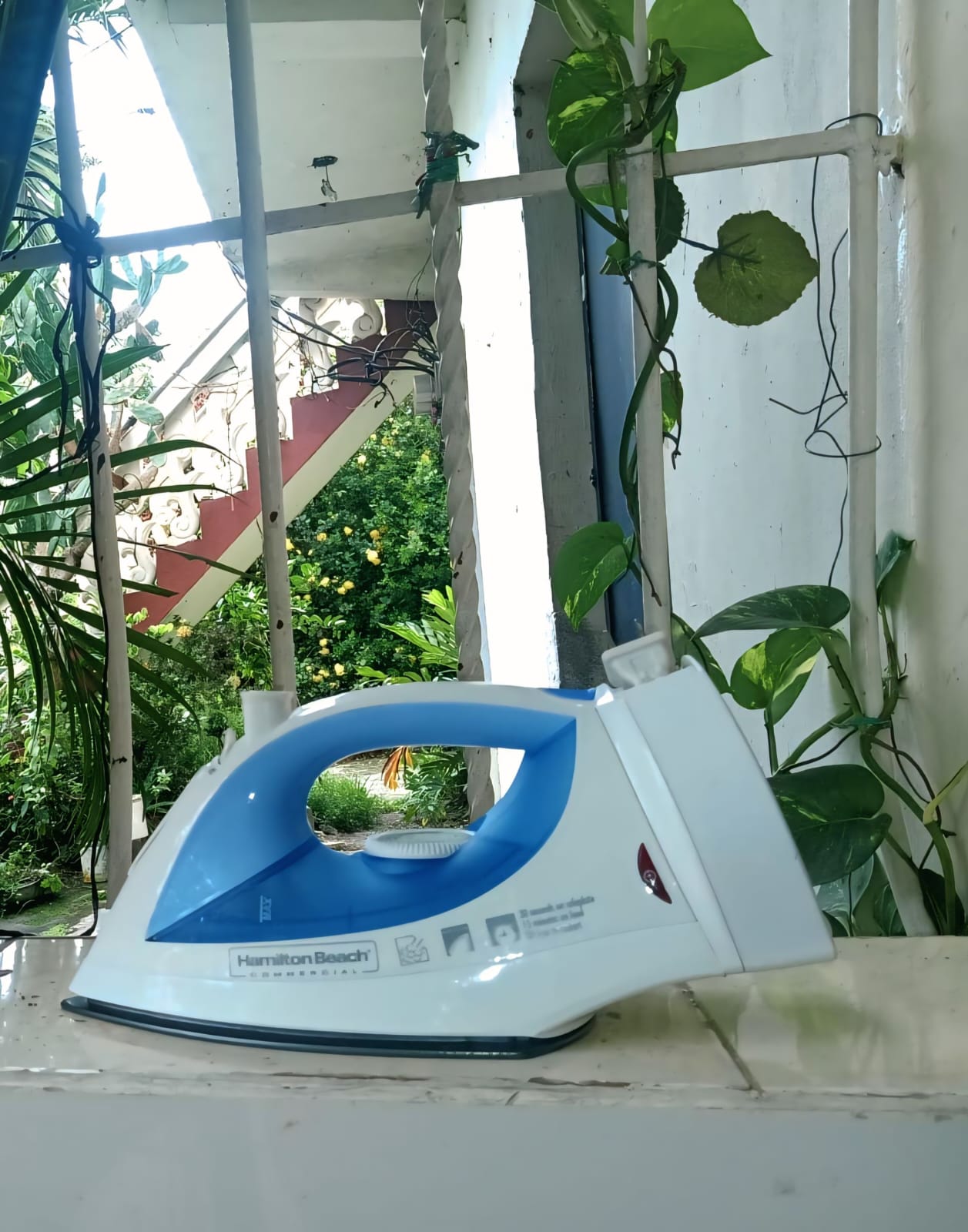 electrodomesticos - Plancha Hamilton Beach  1