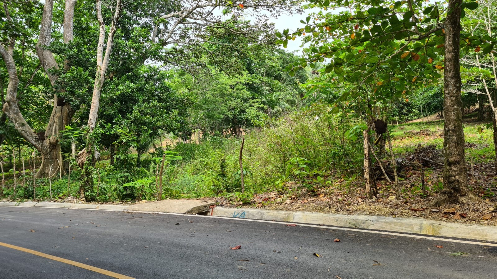 solares y terrenos - Se vende terreno en playa de Moron, Samana 1