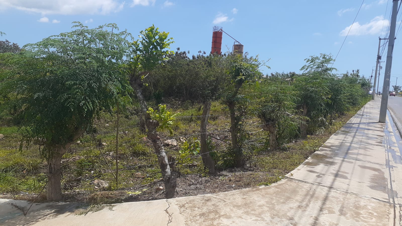 solares y terrenos - Vendo solar a pocos mts de la ciudad Juan Bosh 1