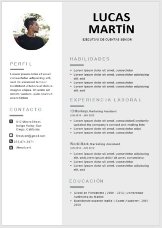 servicios profesionales - Currículum vitae profesional  2