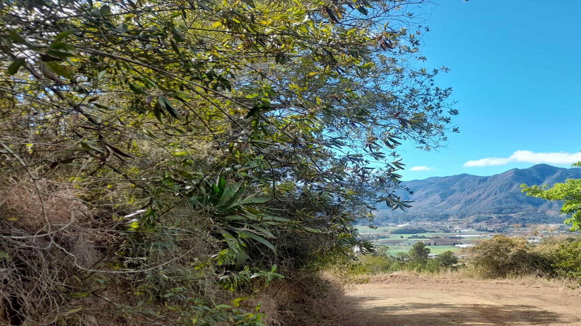 solares y terrenos - VENDO HERMOSO TERRENO CON UNA VISTA ESPECTACULAR!! - EN EL PINAR CONSTANZA. RD!! 1