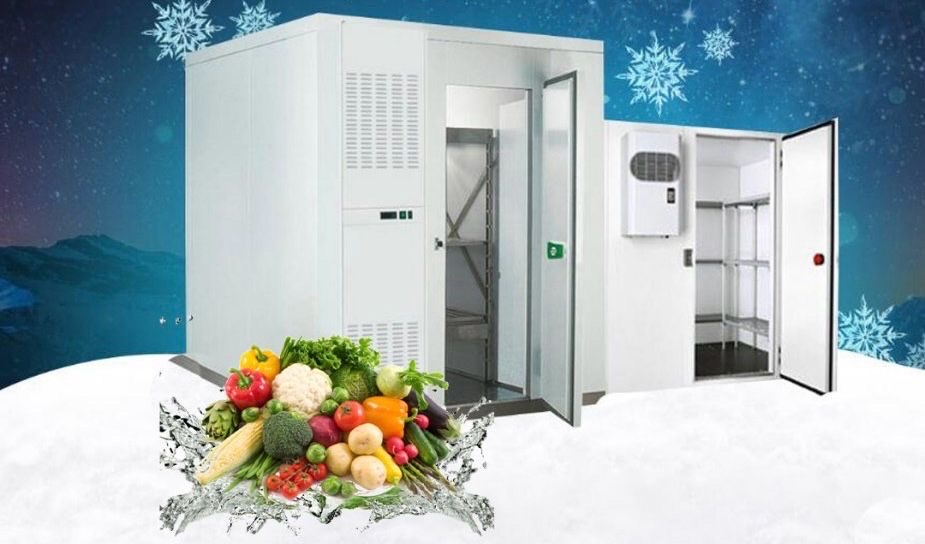 servicios profesionales - Instalación de cuarto frío de media y baja temperatura  1