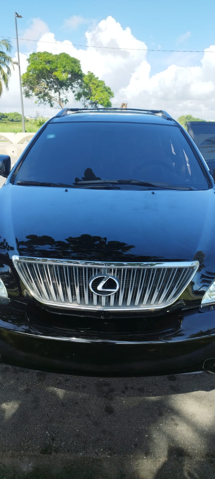 jeepetas y camionetas - lexus rx 330 2004  0
