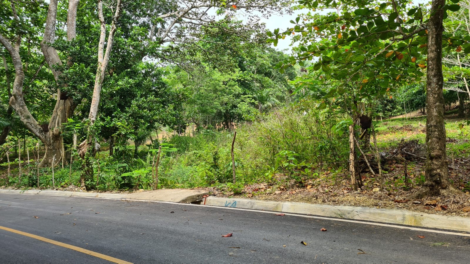 solares y terrenos - Se vende terreno en playa de Moron, Samana 2