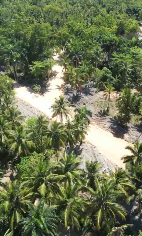 solares y terrenos - Exclusive Lots with Beach Access in Las Terrenas, Samaná 2