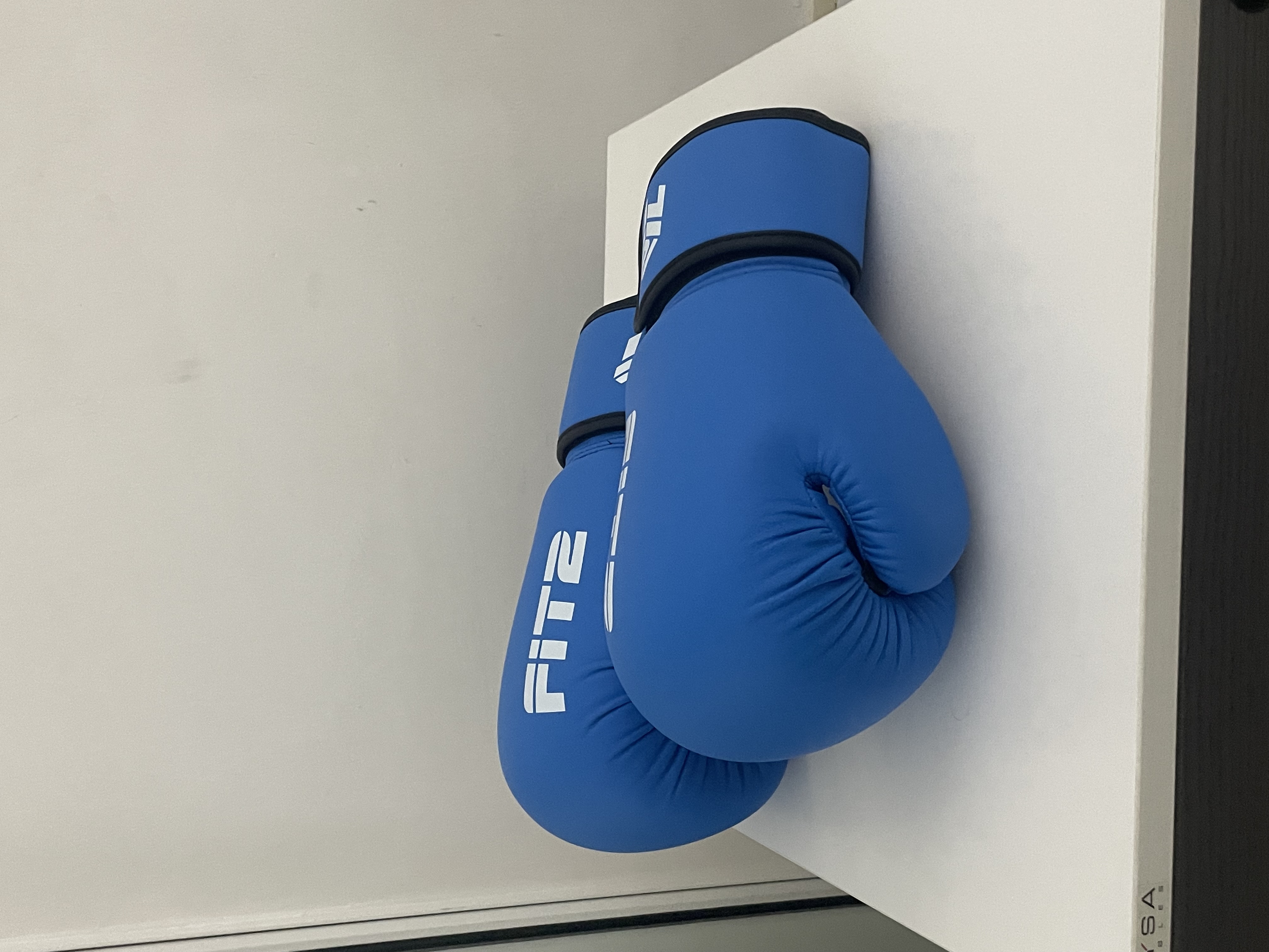 deportes - Guantes de boxeo Fit2