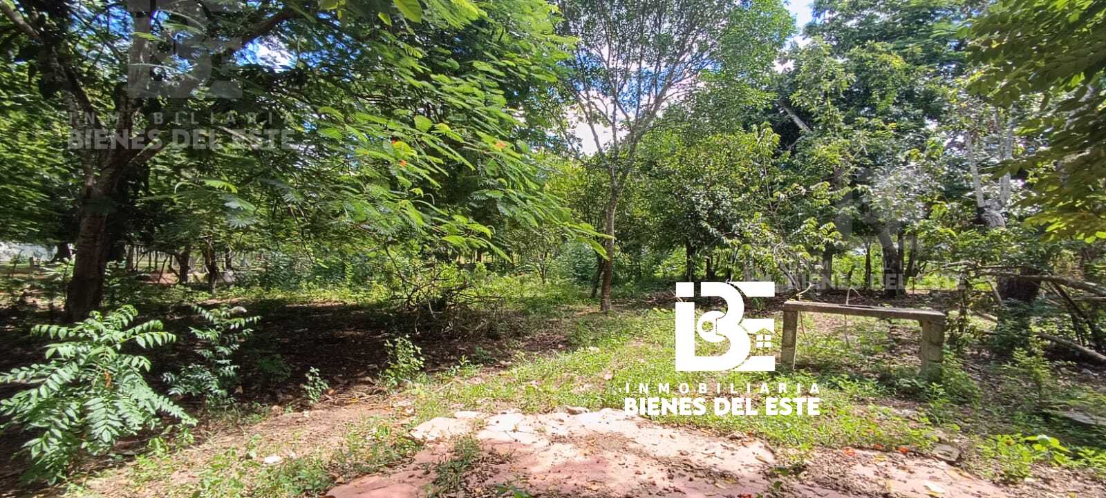 solares y terrenos - Finca con 3.3 Tareas en Ramon Santana, De Oportuni