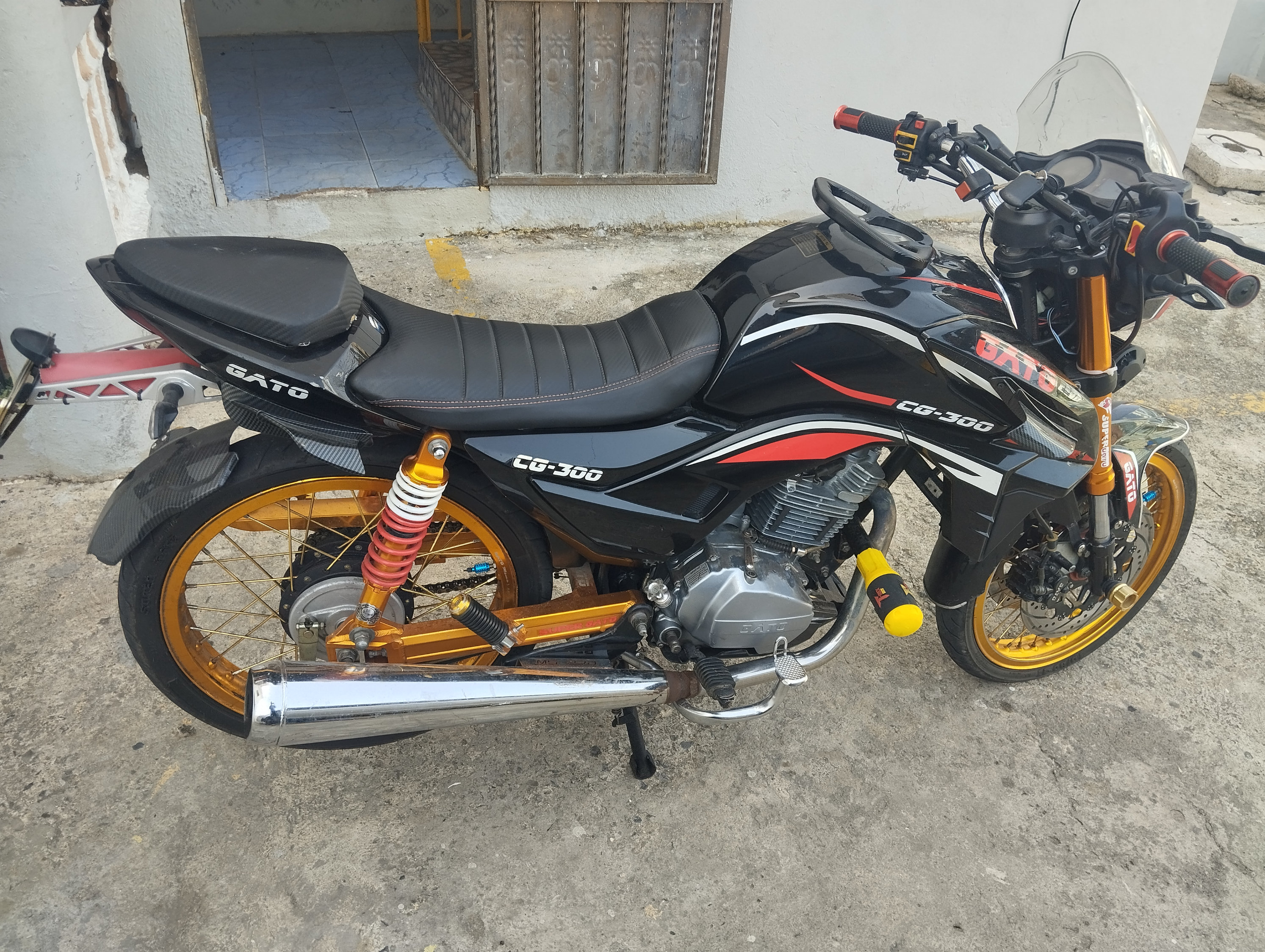 motores y pasolas - super gato 300  3