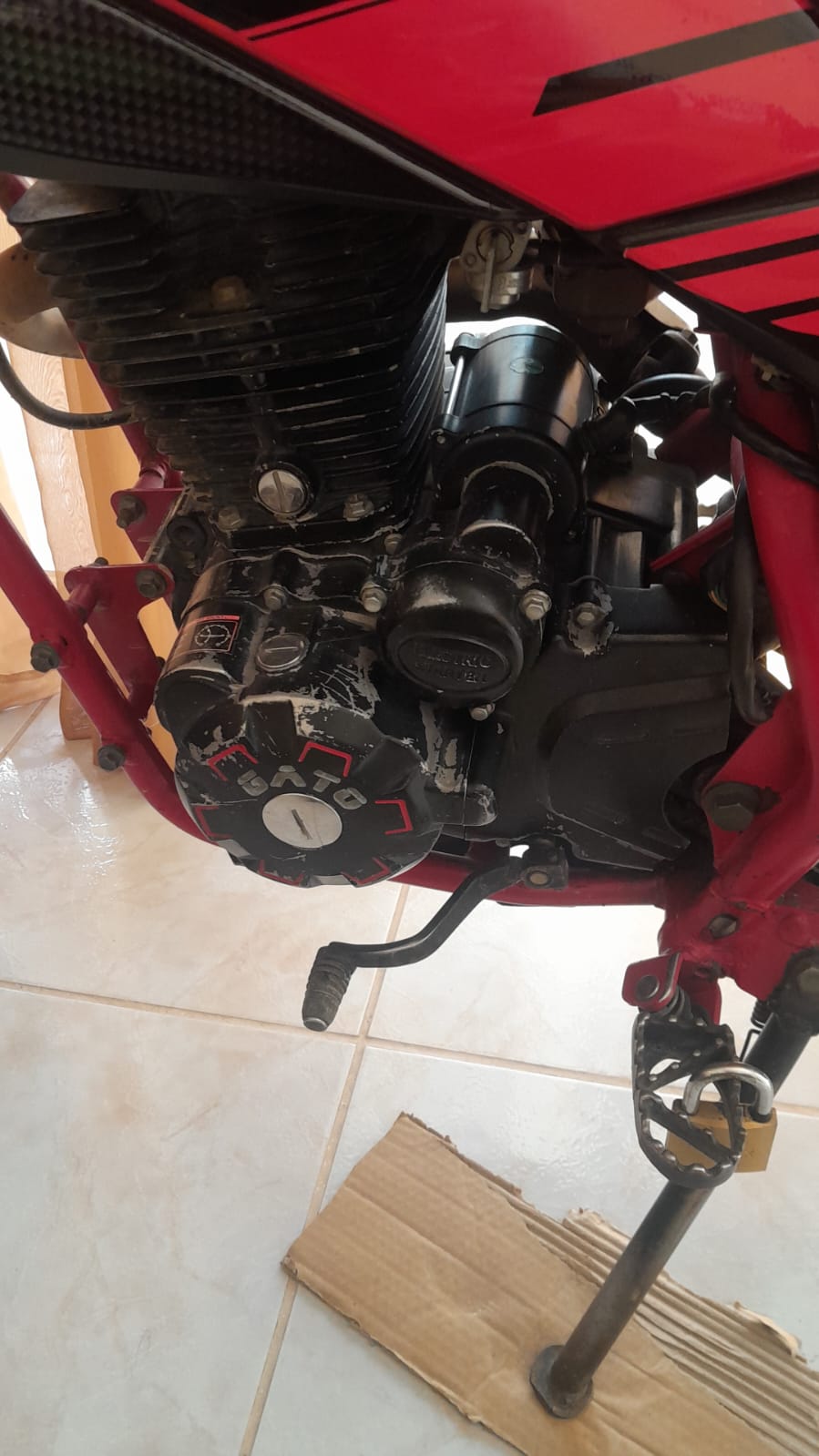 motores y pasolas - motor GY 250 super gato  6