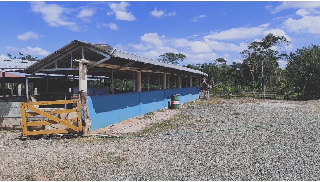 casas vacacionales y villas - casa con finca ganadera  6