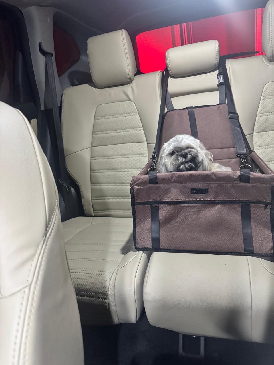 accesorios para vehiculos - Silla de Carro Para Cachorros  2