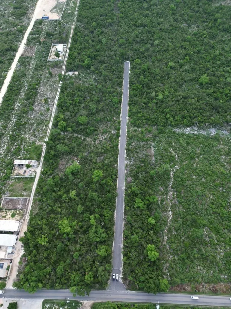 solares y terrenos - Bayahibe – Terreno en venta de 730 m² 1