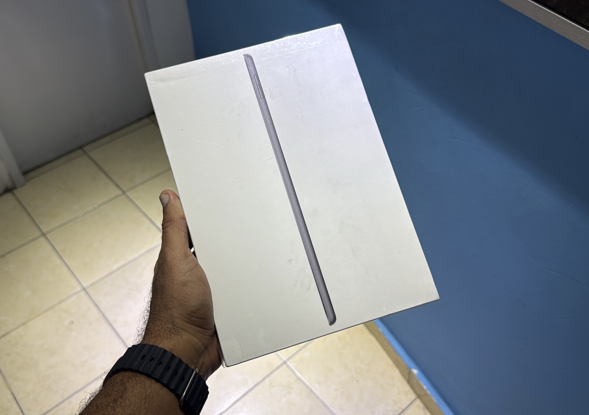 celulares y tabletas - iPad 9va Gen 64GB Wi-Fi Silver Sellada RD$ 17,200 