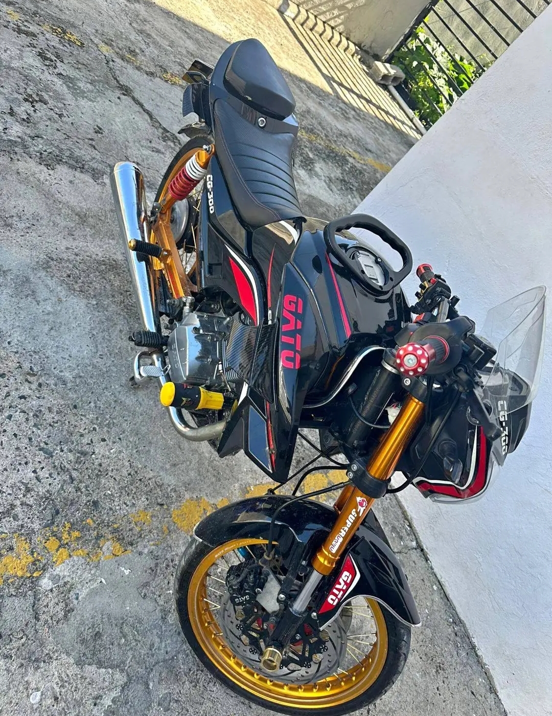 motores y pasolas - super gato 300 