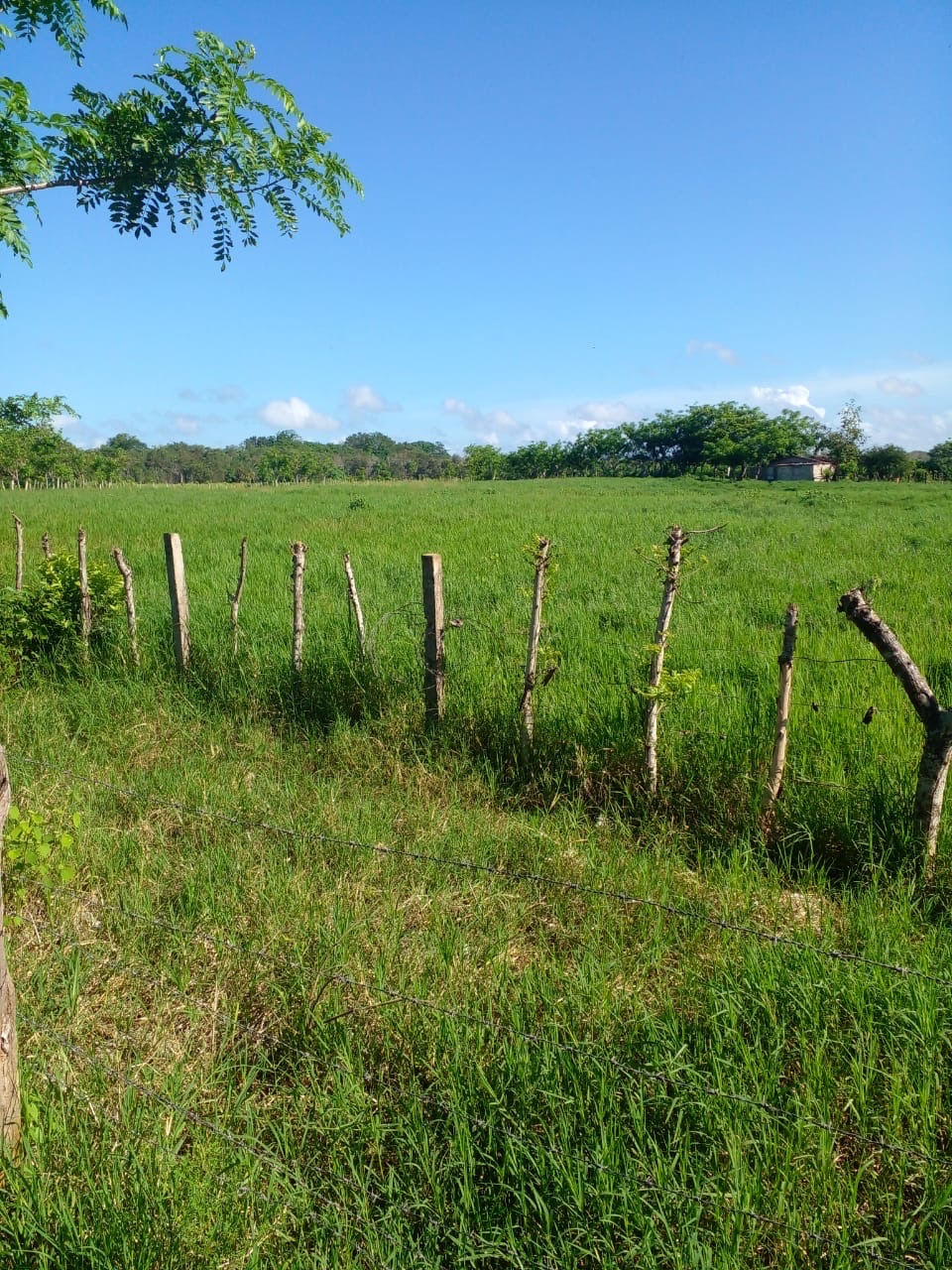 casas vacacionales y villas - casa con finca ganadera  3
