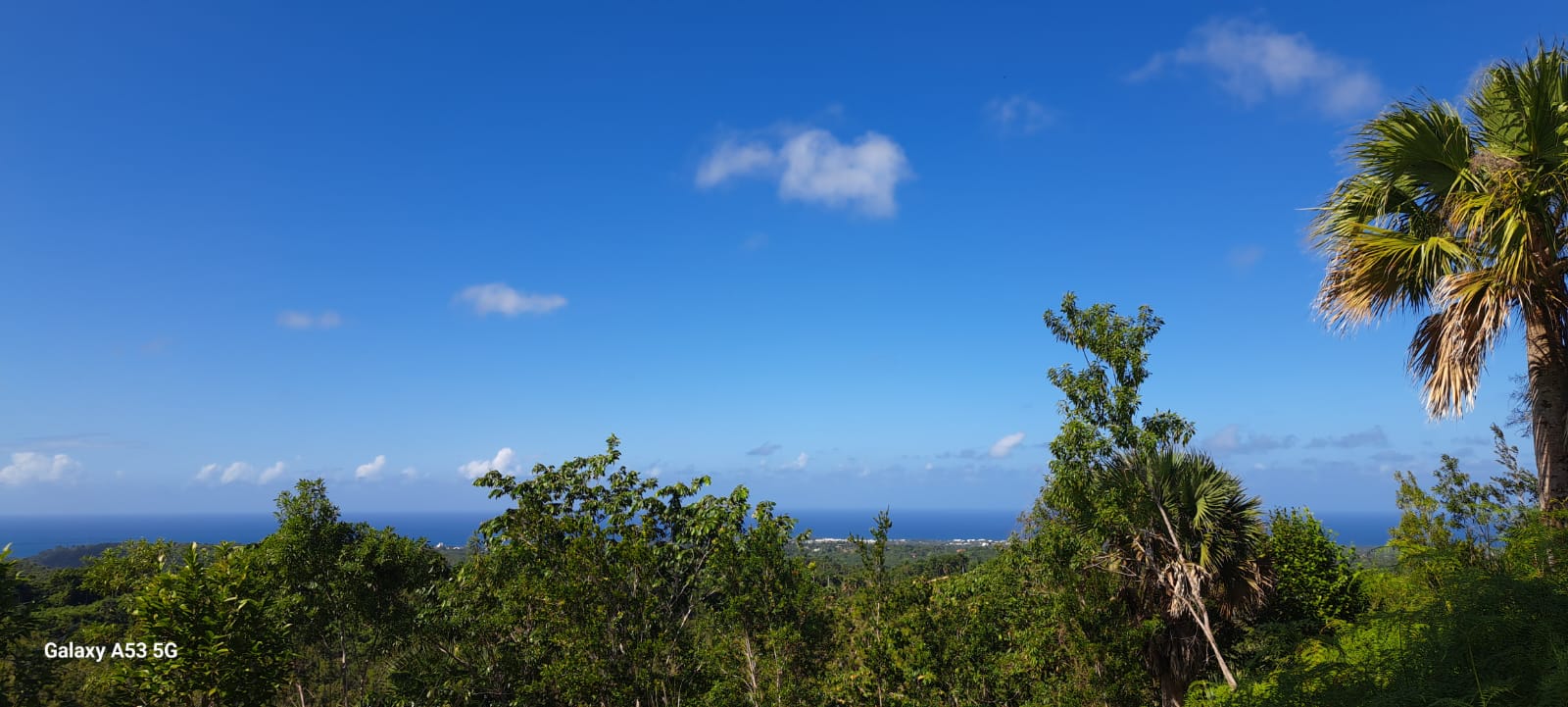 solares y terrenos -  Vive en armonía con la naturaleza en La Reserva 5