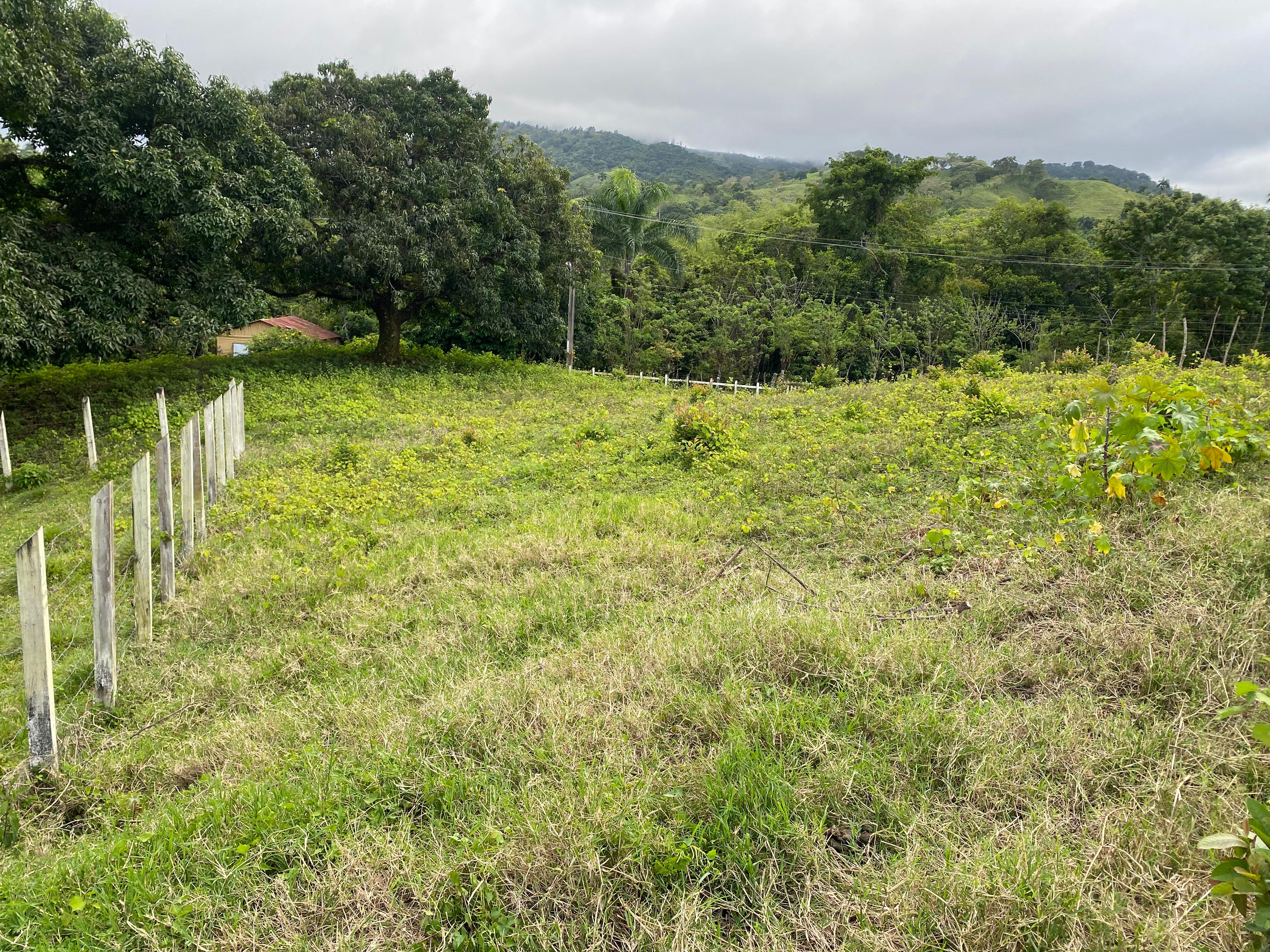 solares y terrenos - Solar en Venta en Pedro García - Santiago Rd 9