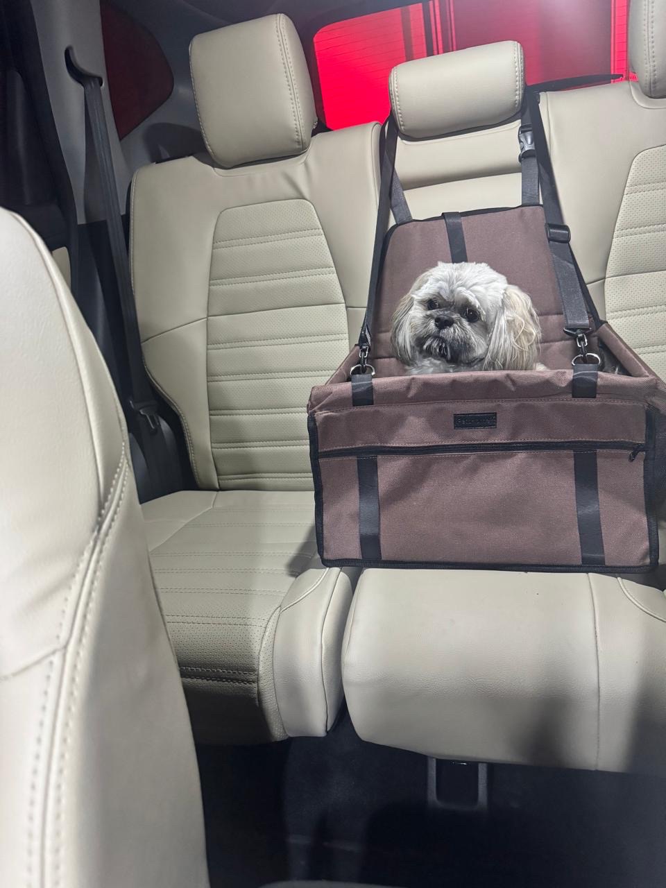 accesorios para vehiculos - Silla de Carro Para Cachorros  3