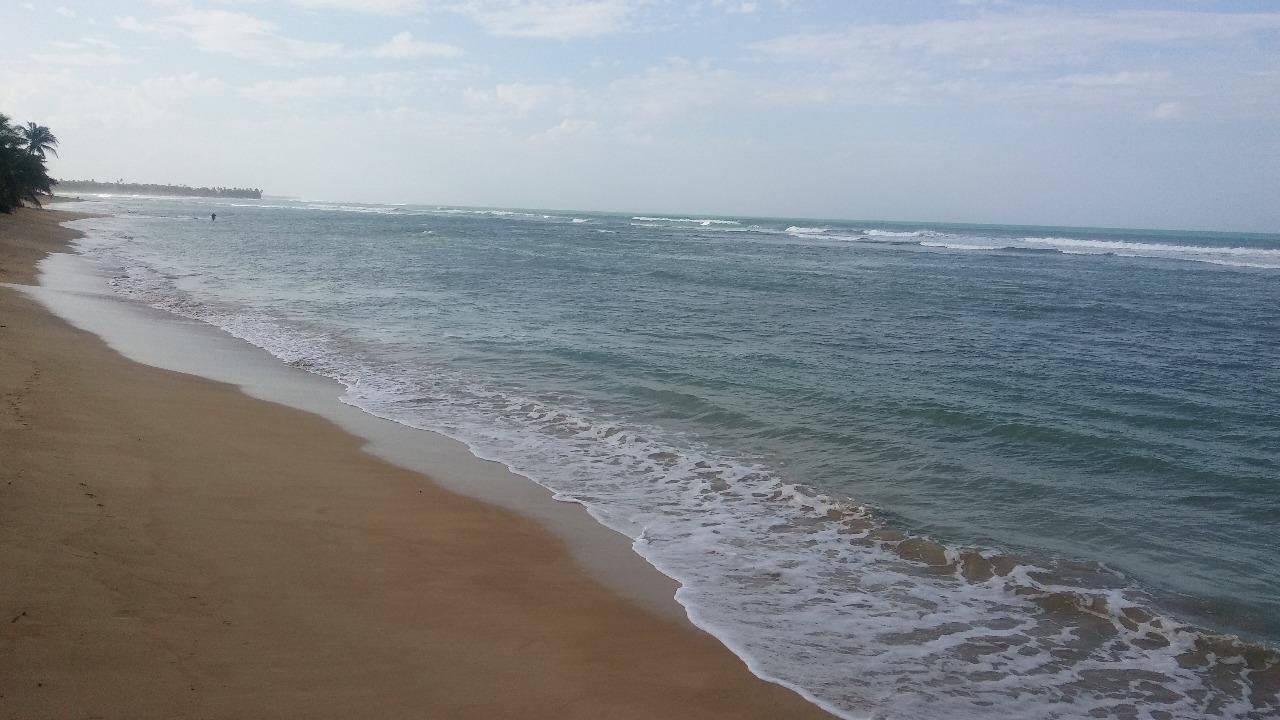 solares y terrenos - VENDO en primera linea de playa, Uvero Alto 3