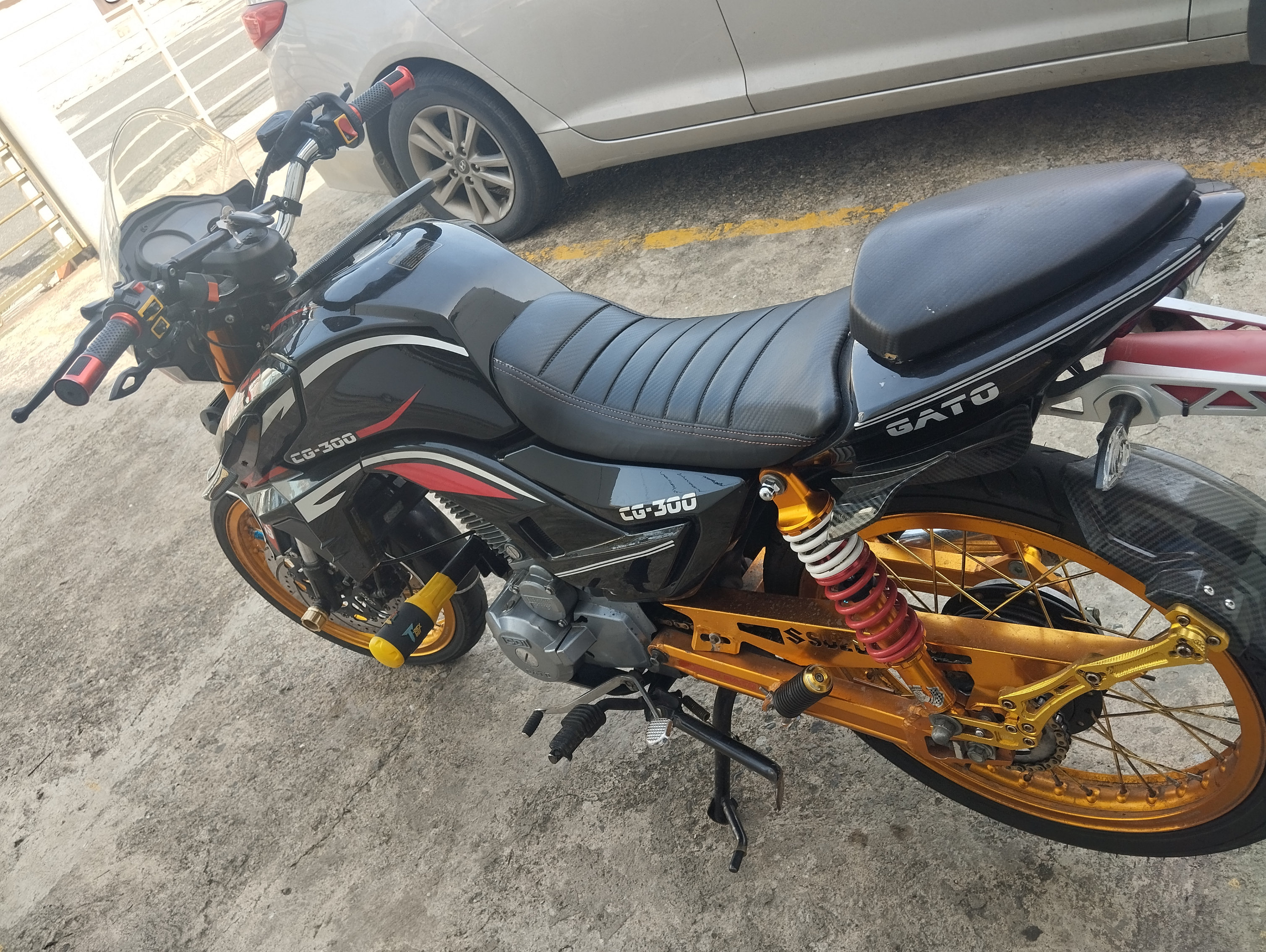 motores y pasolas - super gato 300  1
