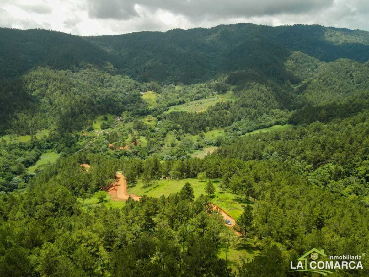 solares y terrenos - Solares en venta en Jarabacoa 1