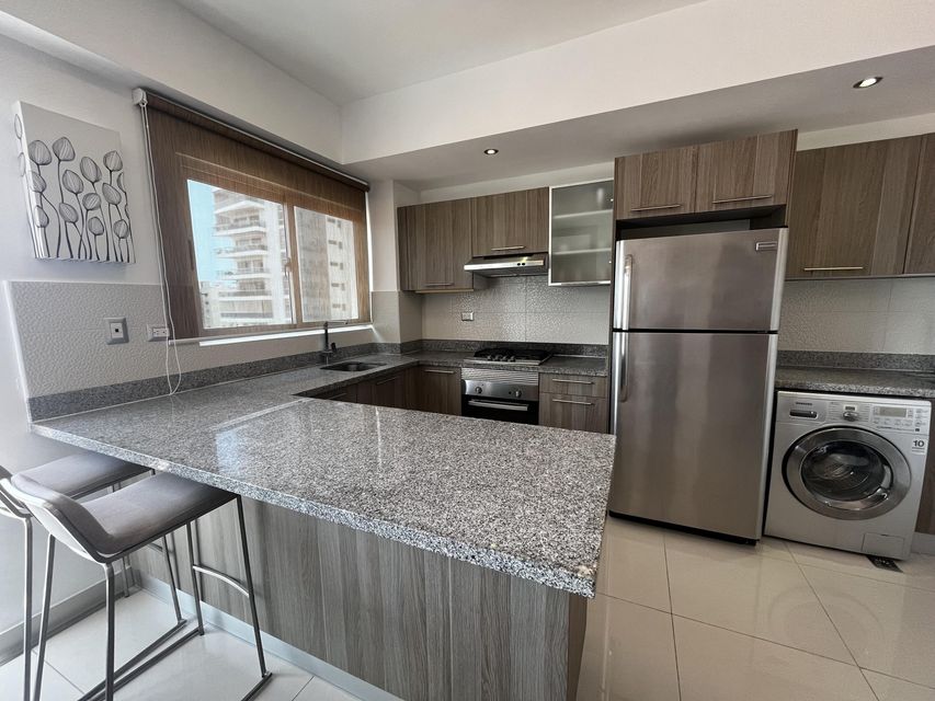 apartamentos - Apartamento en alquiler en Piantini 3