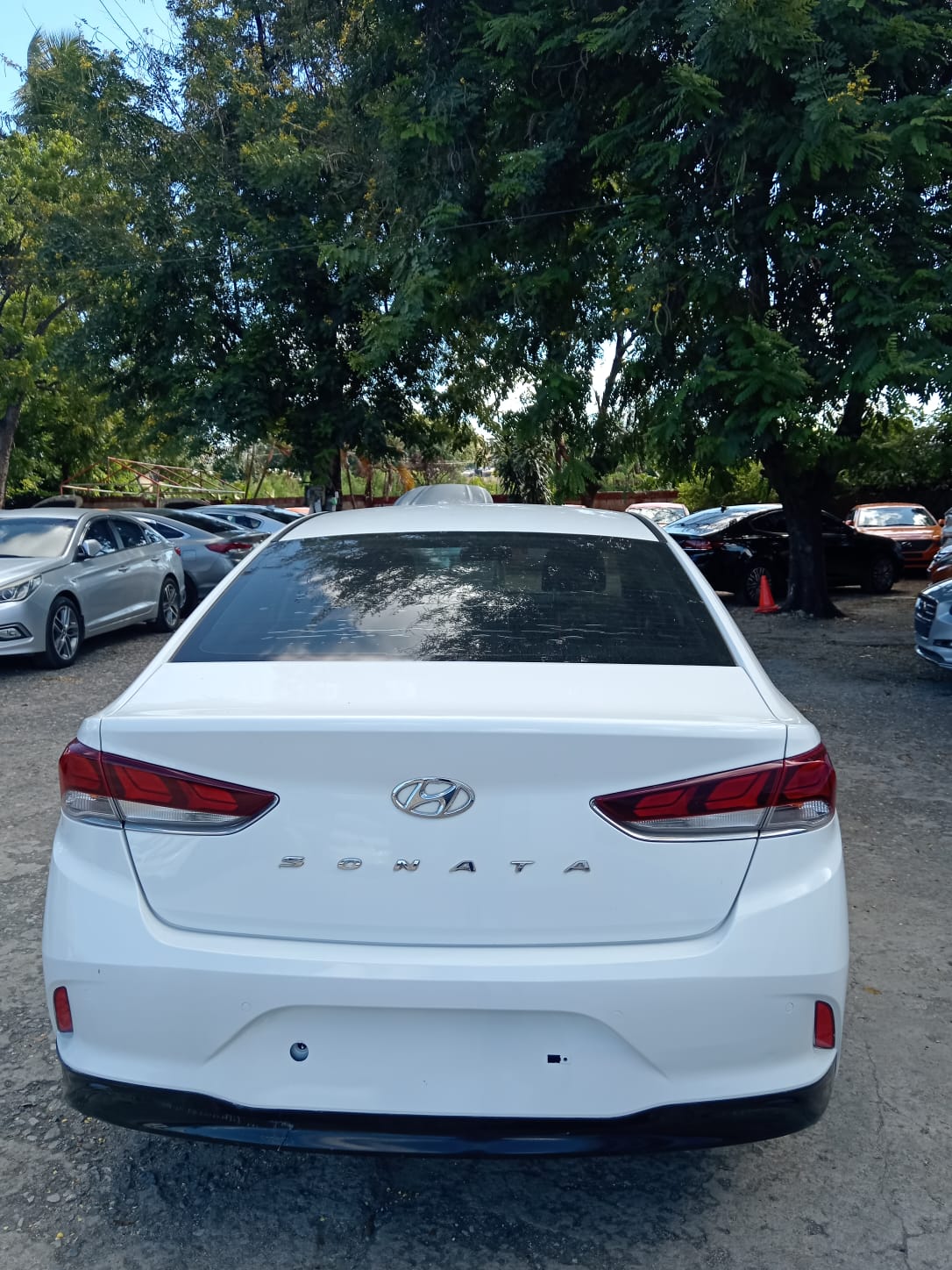 carros - HYUNDAI SONATA NEW RISE 2019 BLANCO 4