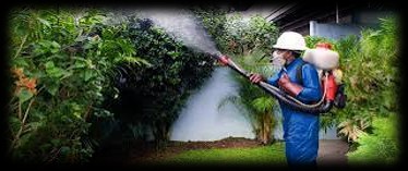 empleos disponibles - Se solicita técnico en fumigación 
