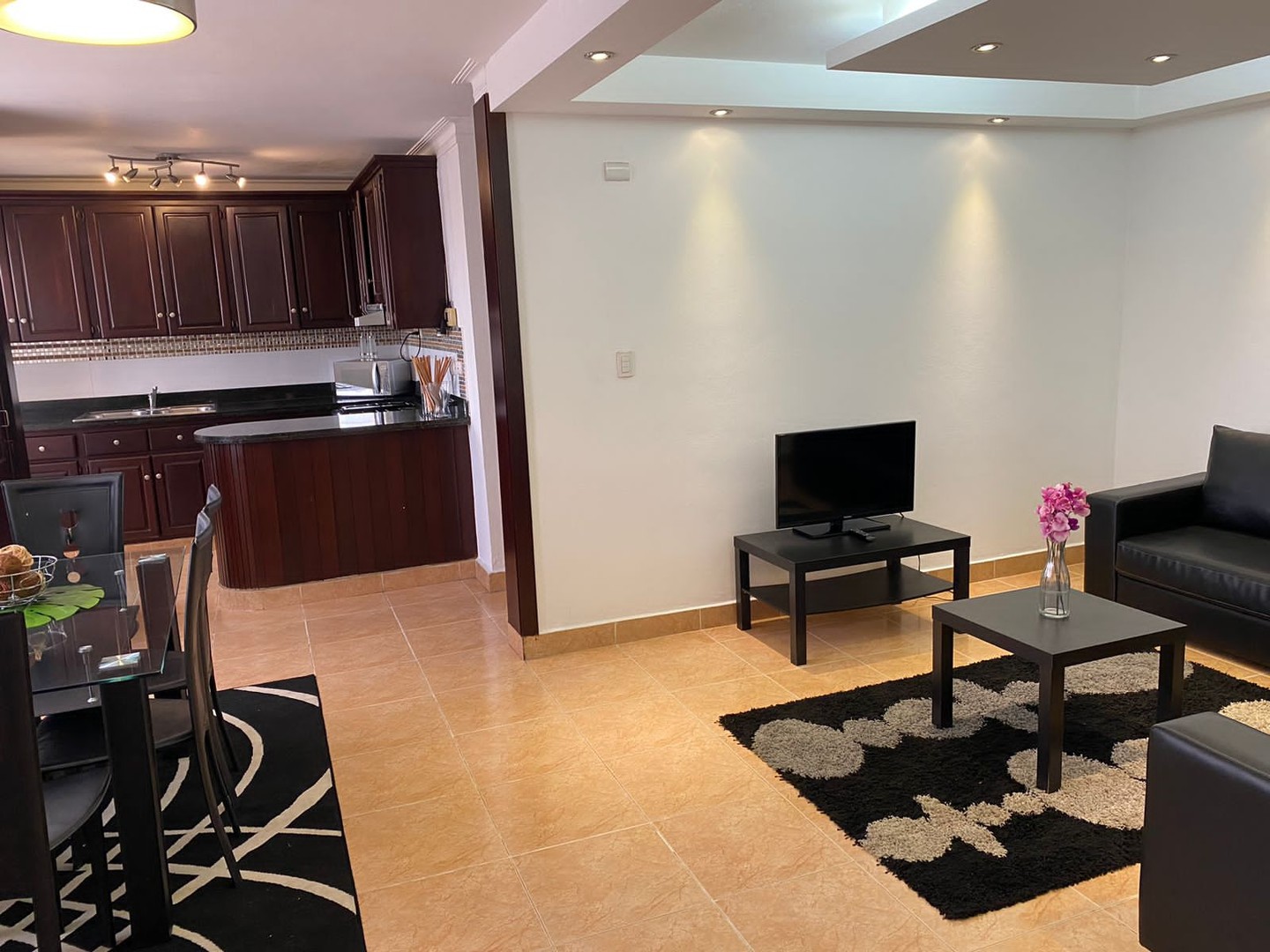 apartamentos - Alquiler de apartamento amueblado de 1 hab. en Villa Olga 1