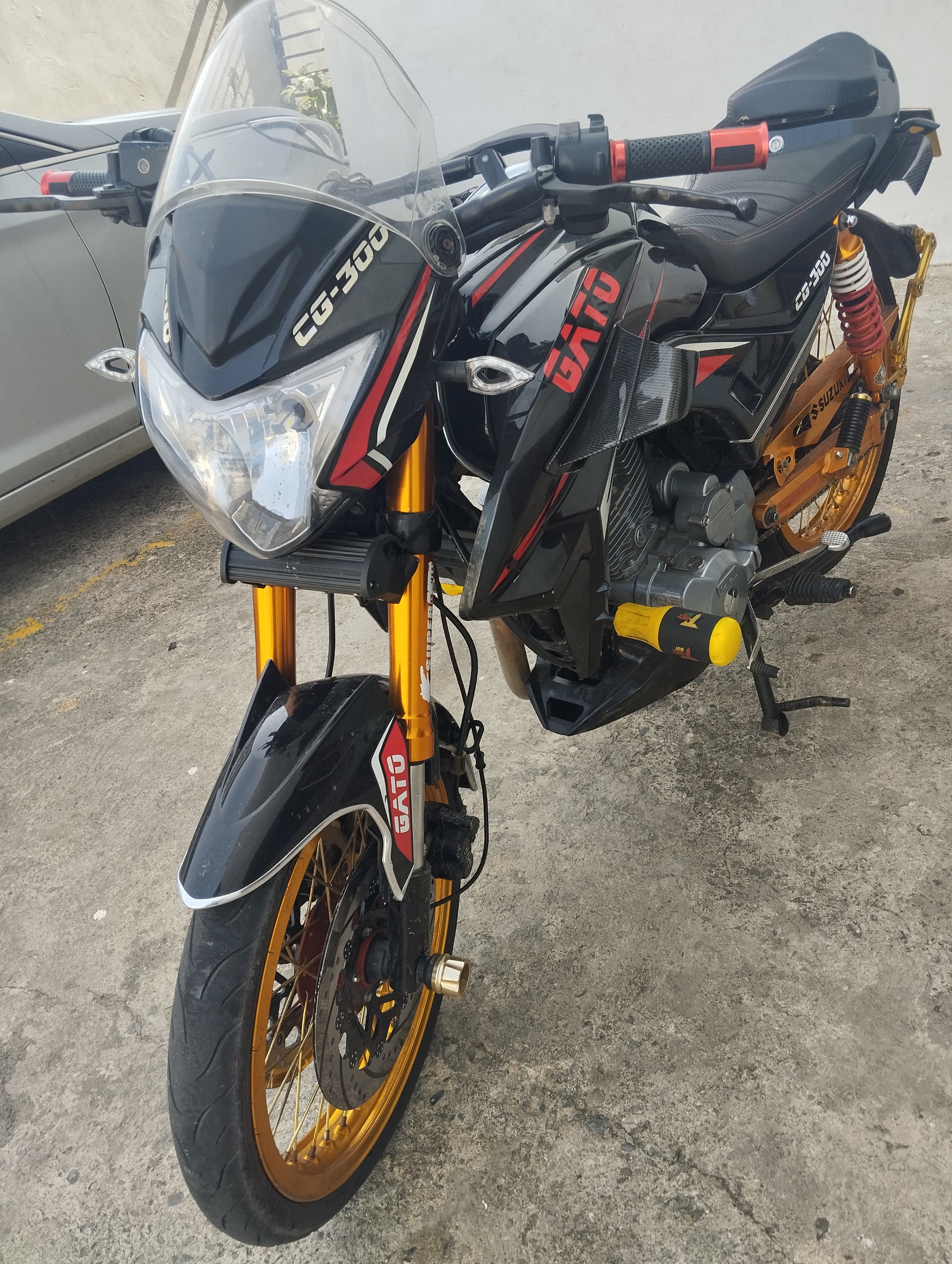 motores y pasolas - super gato 300  2