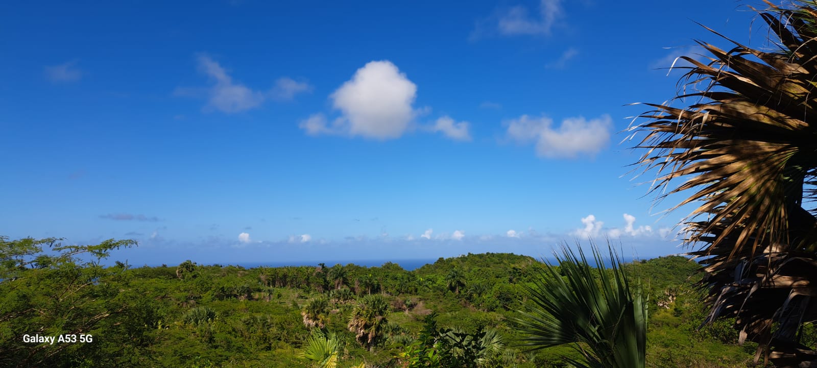 solares y terrenos -  Vive en armonía con la naturaleza en La Reserva 7