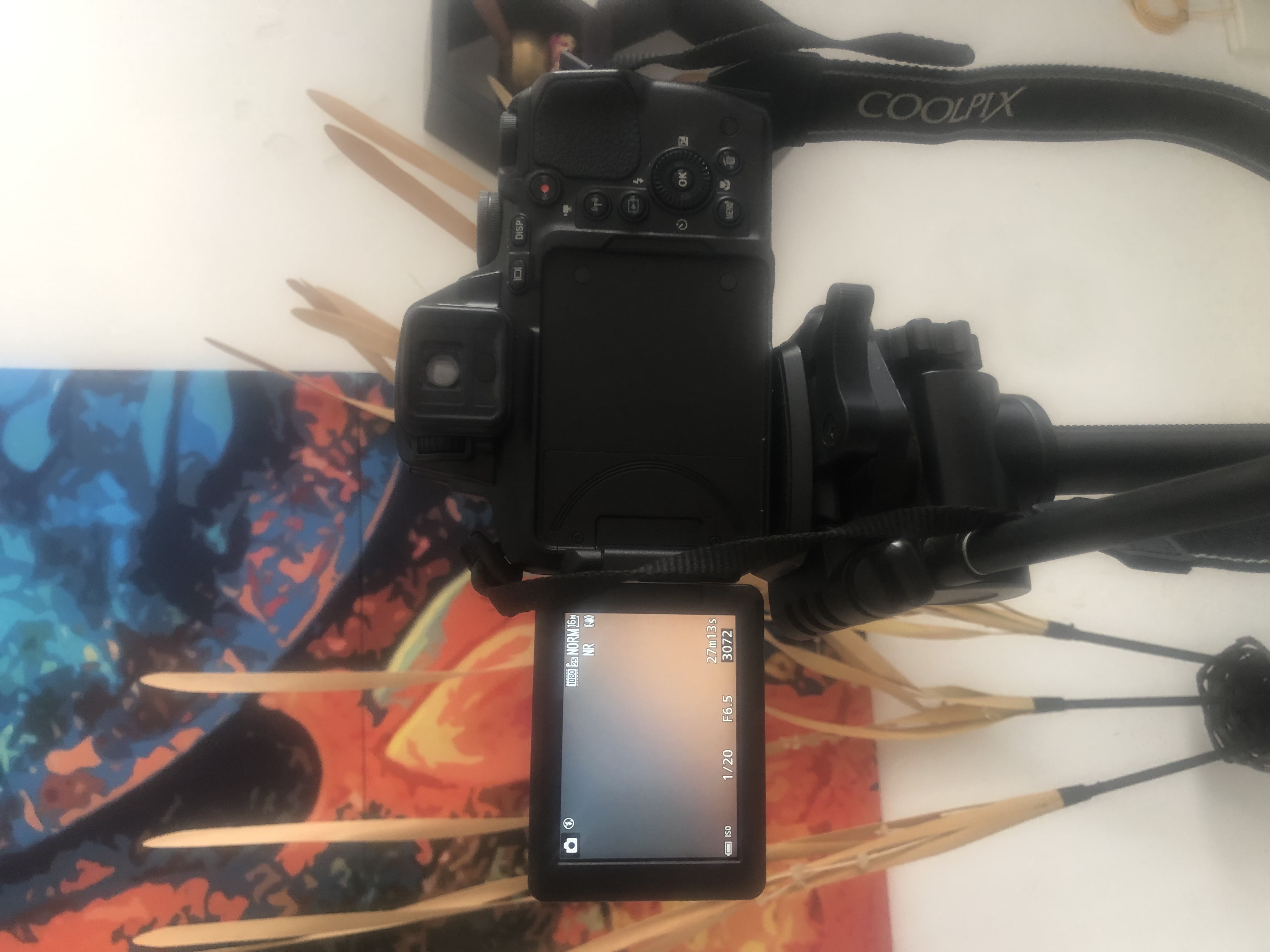 camaras y audio - OPORTUNIDAD NIKON P900 CON TODOS LOS ACCESORIOS 2