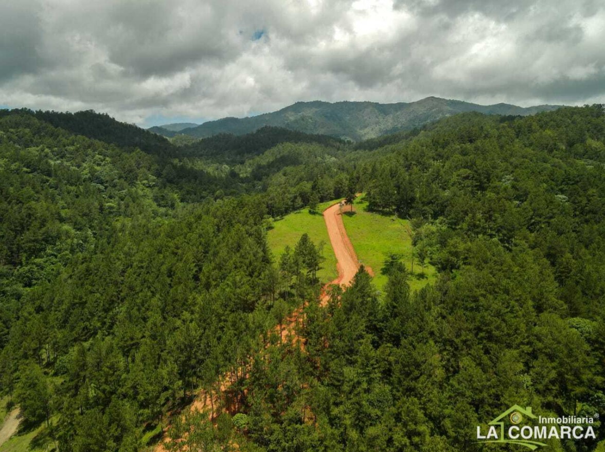 solares y terrenos - Solares en venta en Jarabacoa 3