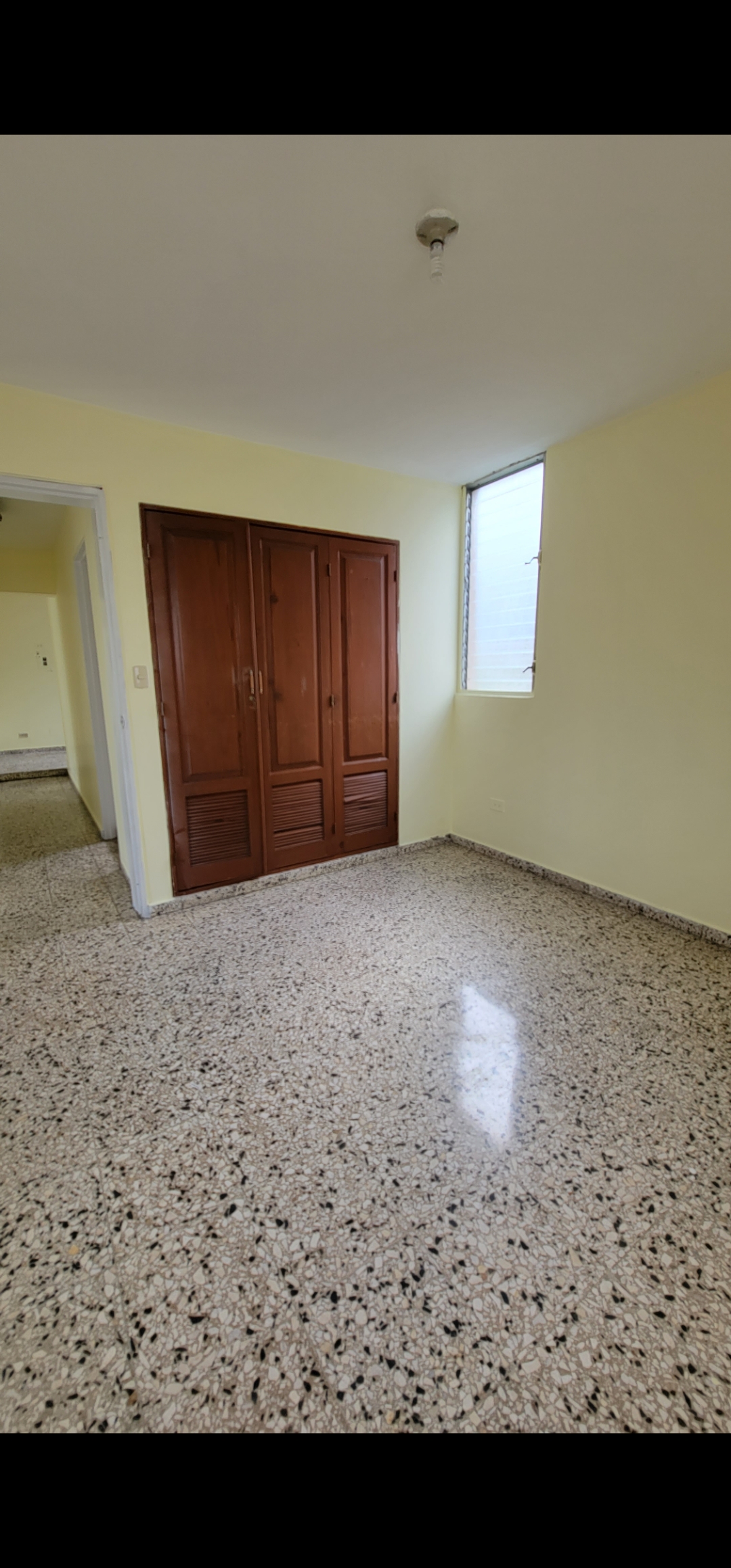 oficinas y locales comerciales - ALQUILER EN PIANTINI, aprovecha esta oportunidad  3
