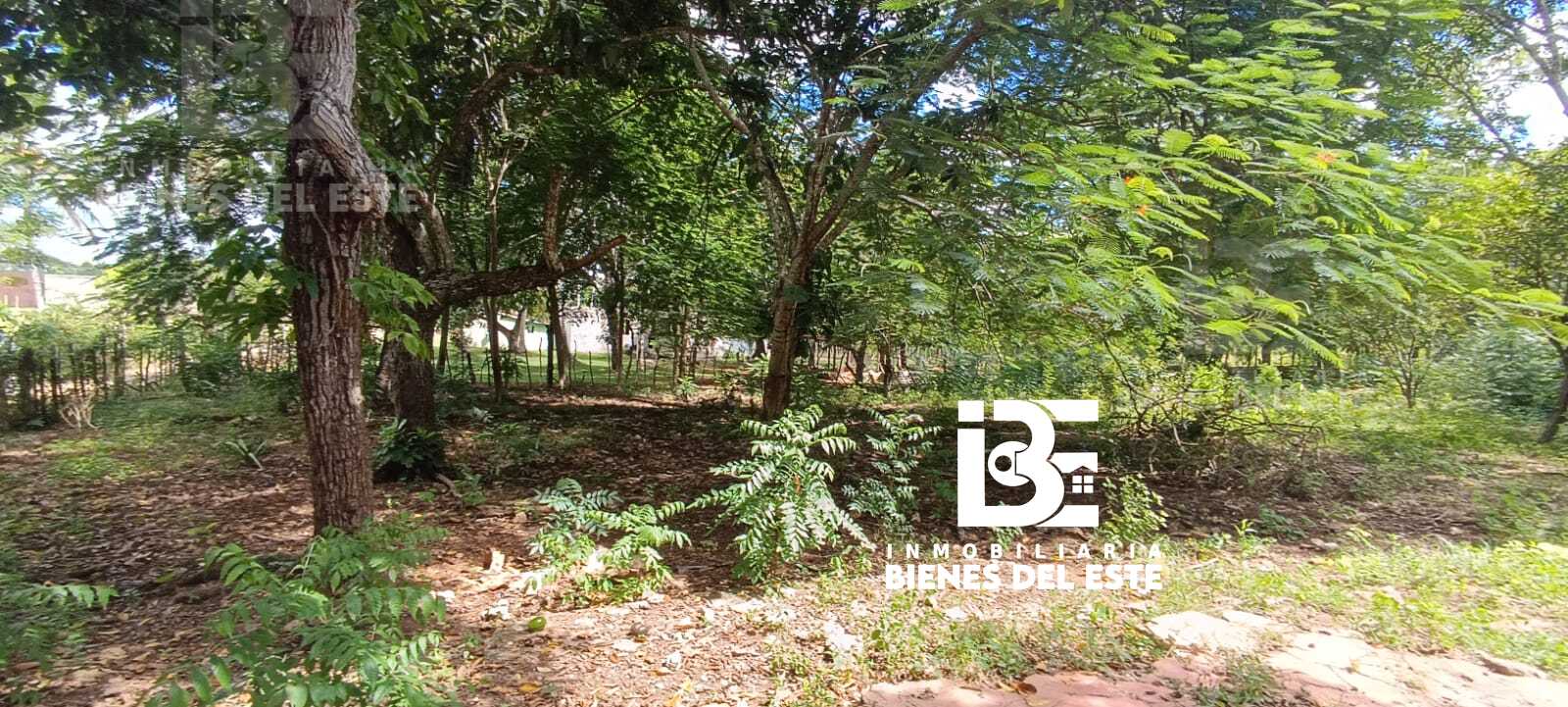 solares y terrenos - Finca con 3.3 Tareas en Ramon Santana, De Oportuni 1