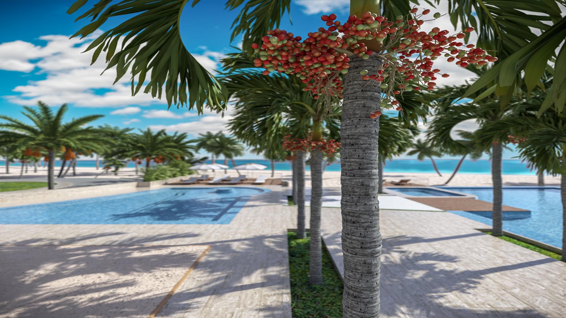 apartamentos - Playa Nueva Romana 5