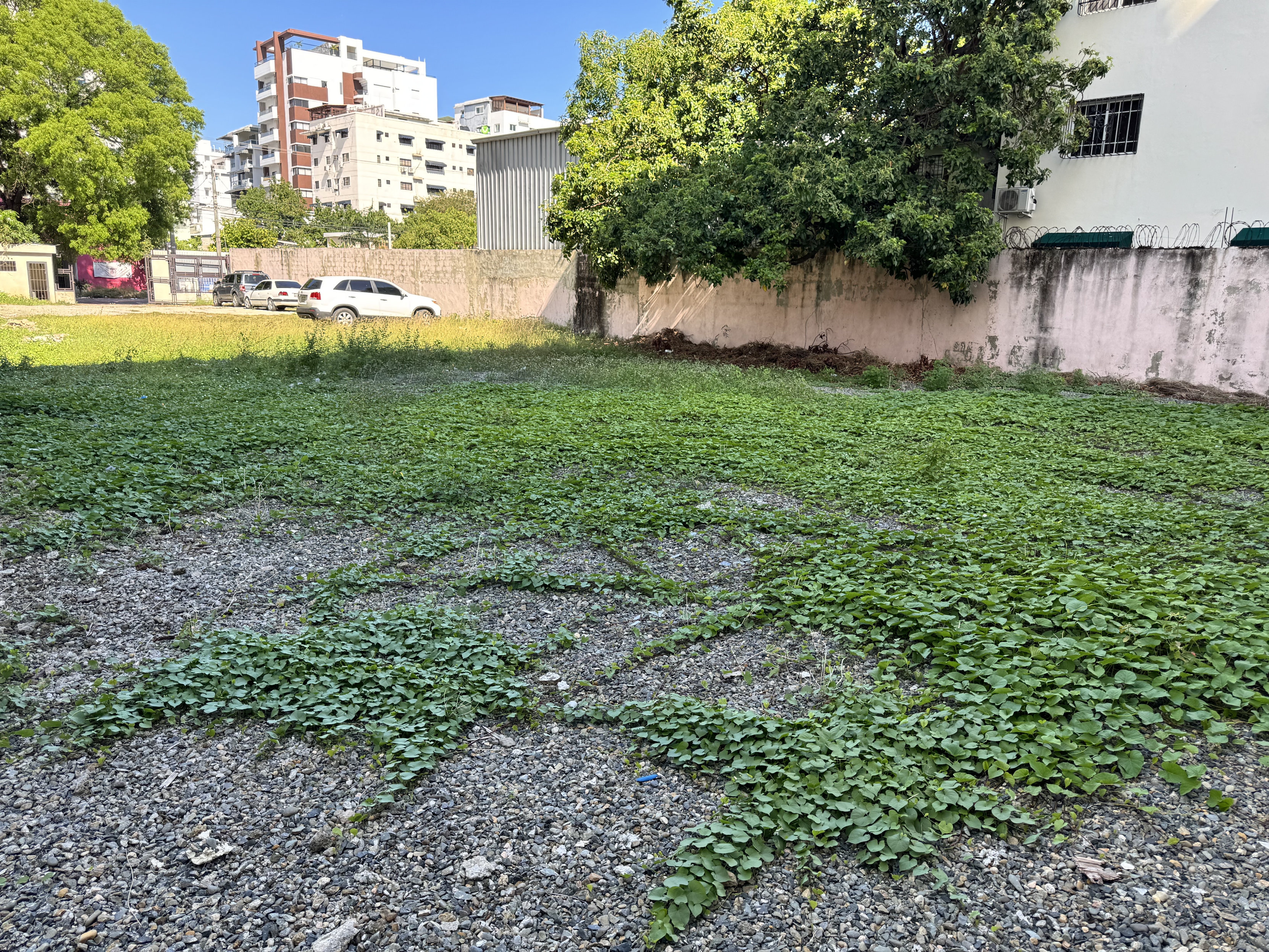 solares y terrenos - solar bella vista centro en alquiler ideal para deelers y food trucks 1